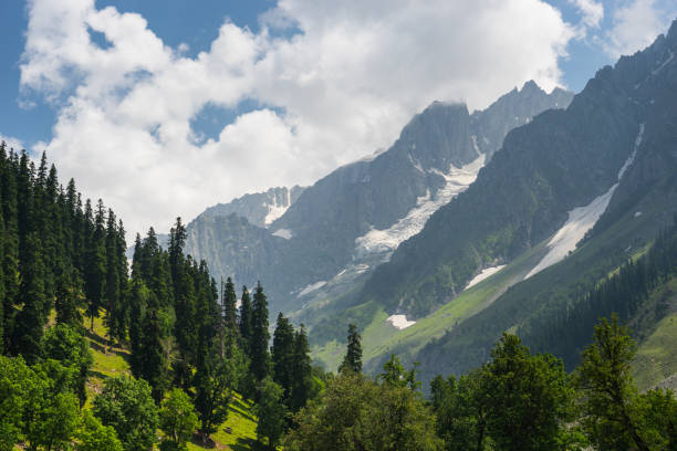 Jammu & Kashmir