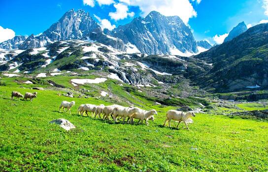 KASHMIR 8NIGHTS 9DAYS